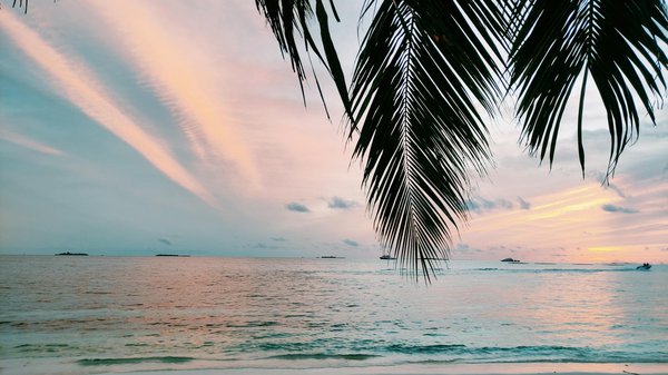 Evao voyages : l'agence de voyage qui sublime lyon 3